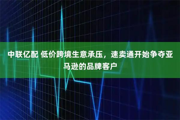 中联亿配 低价跨境生意承压,速卖通开始争夺亚马逊的品牌客户