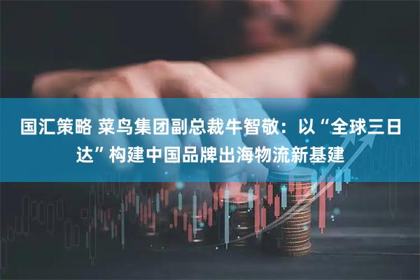 国汇策略 菜鸟集团副总裁牛智敬:以“全球三日达”构建中国品牌出海物流新基建