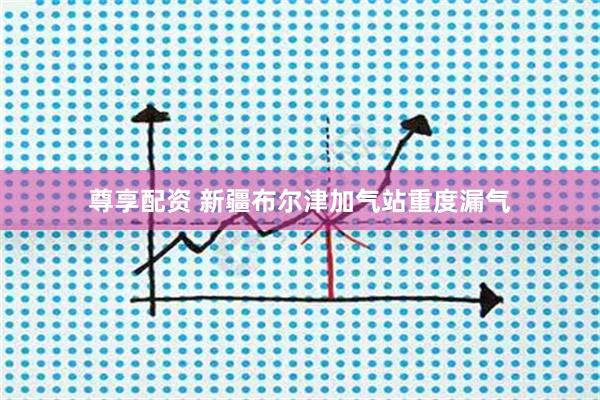 尊享配资 新疆布尔津加气站重度漏气