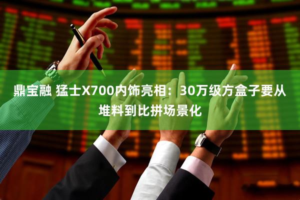 鼎宝融 猛士X700内饰亮相：30万级方盒子要从堆料到比拼场景化