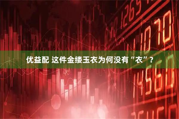 优益配 这件金缕玉衣为何没有“衣”？